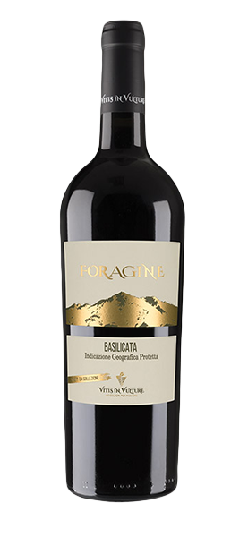 Image of "Foragine" Rosso Basilicata IGT 2019070