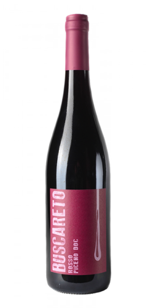 Rosso Piceno DOC 2021