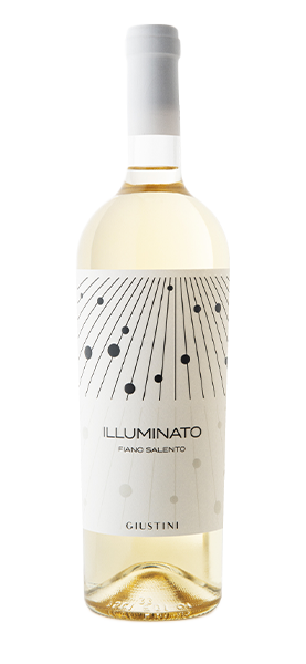 Image of "Illuminato" Fiano Salento IGP 2023070