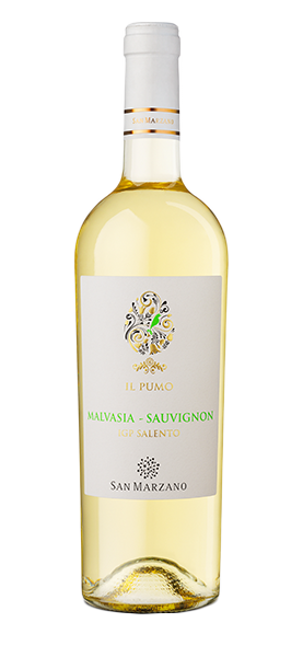 Image of "Il Pumo" Malvasia Sauvigon IGP Salento 2023070