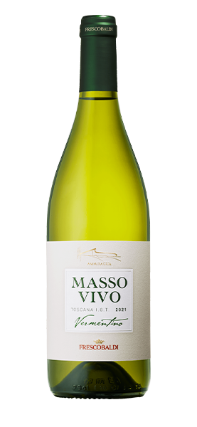 Image of "Massovivo Ammiraglia" Vermentino IGT 2023070