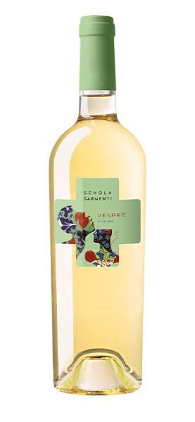 Image of "Vespre" Fiano Salento IGT 2023070