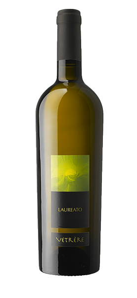 Image of "Laureato" Salento Bianco IGP 2023070