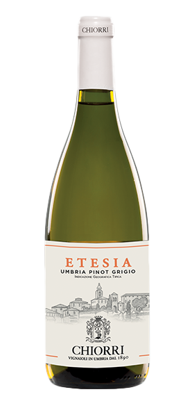 Image of "Etesia" Umbria Pinot Grigio IGT 2024070