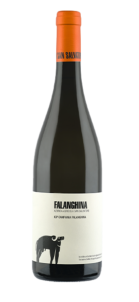 Image of Falanghina IGP Campania 2022070