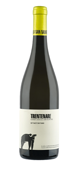 Image of "Trentenare" IGP Paestum Fiano 2023070