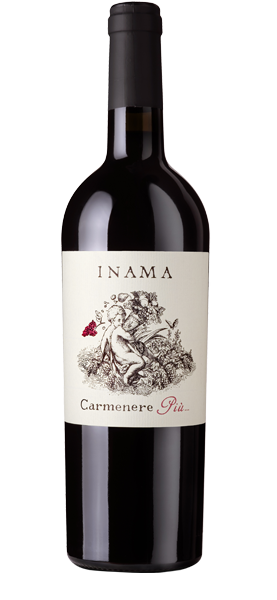 Carmenere Pi ‘ IGT 2022