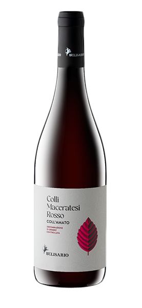 Image of "Coll'Amato" Colli Maceratesi Rosso DOC 2022070