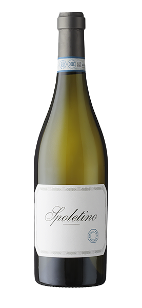 Image of "Spoletino" Trebbiano Spoleto DOC 2022070