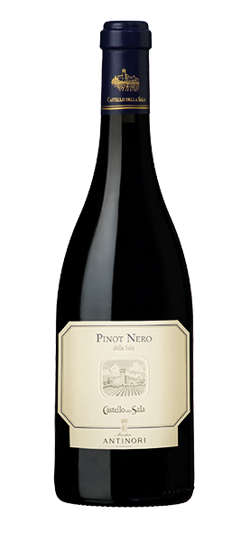 Image of Pinot Nero Umbria IGT 2022070