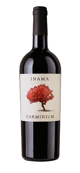 Image of "Carminium" Carmenere Colli Berici DOC 2021070