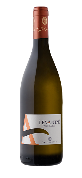 Image of "Levantae" Vino Bianco 2023070