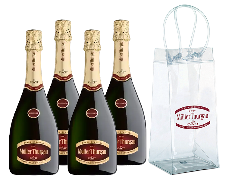 Image of Degustazione Müller Thurgau Brut + omaggio Ice Bag070