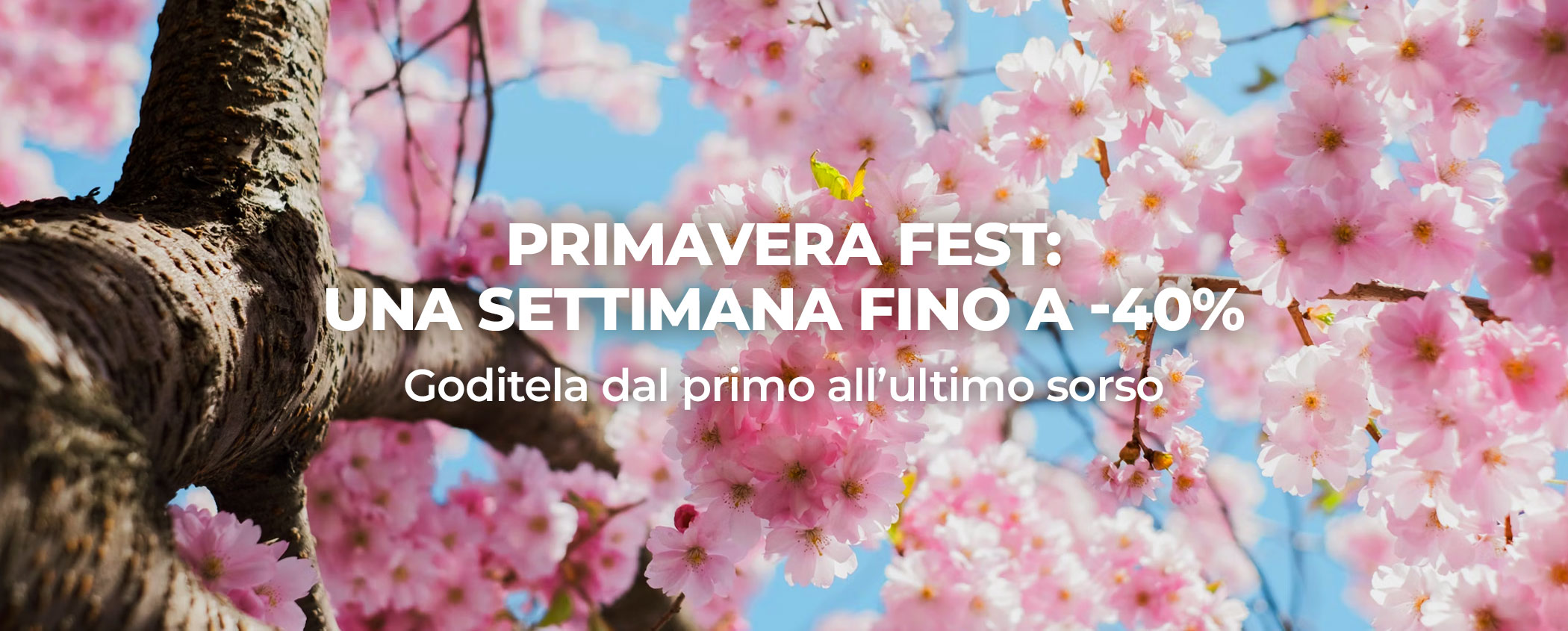 primavera