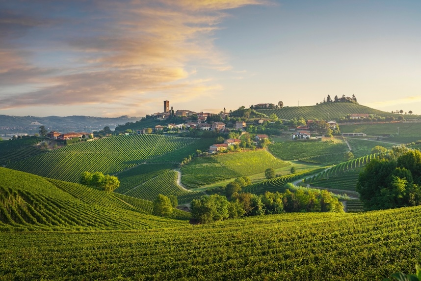 barbaresco docg famoso vino piemontese