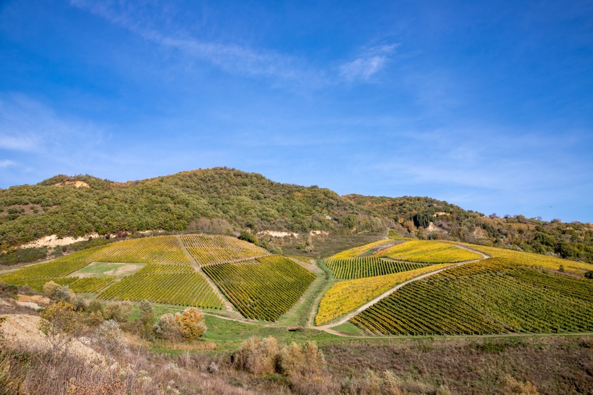 vini campani zone di produzione